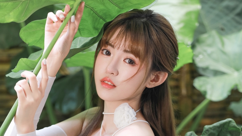 原神魈怎么配队 魈配队阵容推荐